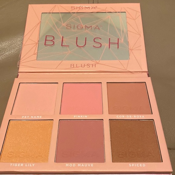 NWOT Blush pallet - Picture 3 of 3